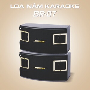 Loa Karaoke BOBOS BR 07