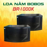 Loa karaoke BOBOS BR-1000K