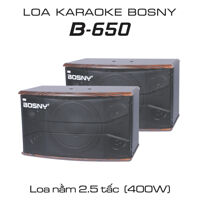 Loa Karaoke BOSNY B-650