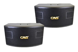 Loa karaoke CAVS A900