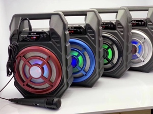 Loa karaoke CS-19