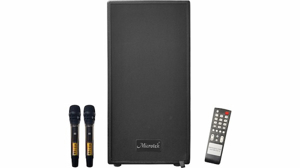 Loa karaoke di động Microtek MTK F-300