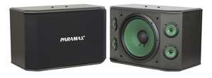 Loa karaoke Paramax K-1000