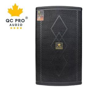 Loa karaoke QC PRO D212