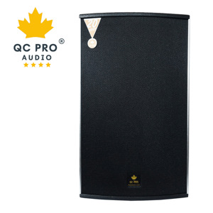 Loa karaoke QC PRO T12