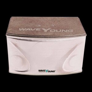 Loa karaoke wave young PS-802