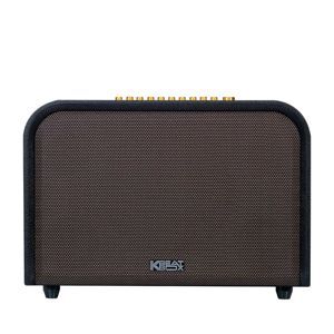 Loa kéo Acnos Acoustic 3