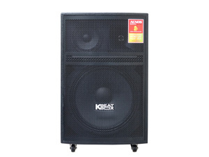 Loa kéo Acnos CB605PRO
