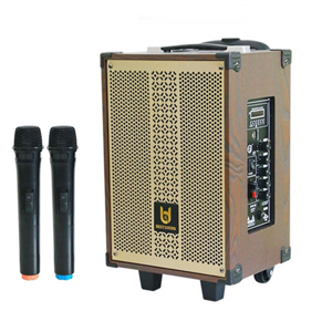 Loa kéo Bestsound BD-1080, 30W