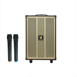 Loa kéo Bestsound BD-1080, 30W