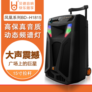 Loa kéo di động Amigo BD-H1815-700W