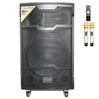 Loa kéo di động Karaoke Bass 40 Daichipro DCP-15D