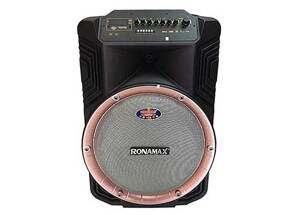 Loa kéo di động karaoke Ronamax B15A