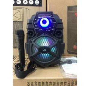 Loa kéo di động mini Kingbass Q6S