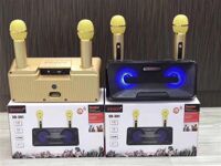 Loa bluetooth Karaoke SD-301