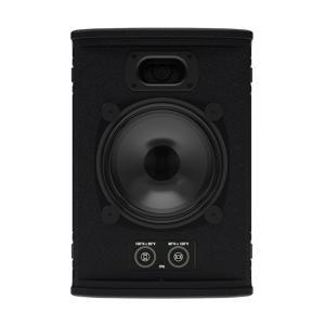 Loa Martin Audio FP6