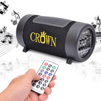 Loa mini Crown D4X