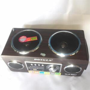 Loa mini DLS-6607