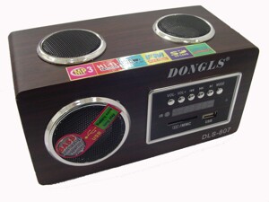 Loa Dongls DLS-807