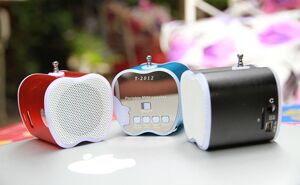 Loa nghe thẻ nhớ FM T2012