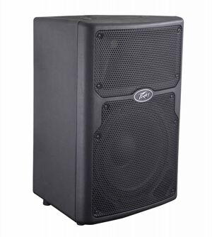 Loa Passive Peavey PVX10