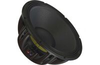 Loa P.Audio C18-1000v3