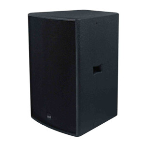 Loa Pro Acoustic Solution i-15N