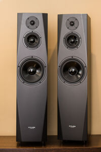 Loa Pylon Audio Sapphire 31