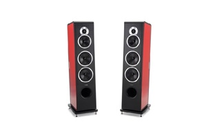 Loa Sonus Faber Chameleon T