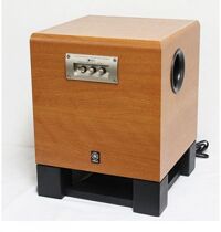 Loa Sub Yamaha SW320