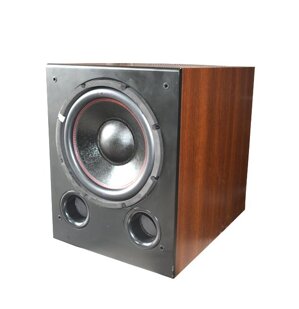 Loa Subwoofer CAVS SA-612