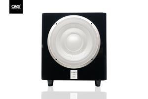 Loa Subwoofer CAVS THS12