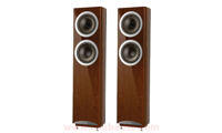 Loa Tannoy DC 10T