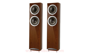 Loa Tannoy DC 10T