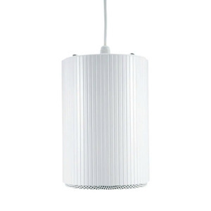 Loa thả trần ITC T-200B