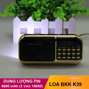 Loa thẻ BKK B839S