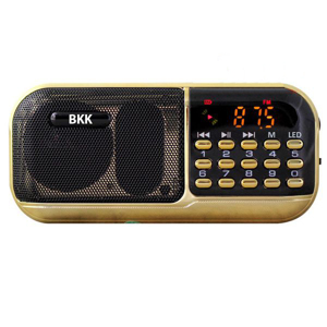 Loa thẻ FM BKK K39