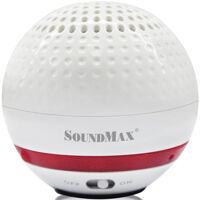 Loa SoundMax R100 (R-100) - 2.1