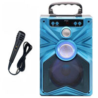 Loa xách tay Bluetooth tích hợp chức năng Karaoke Profit P91