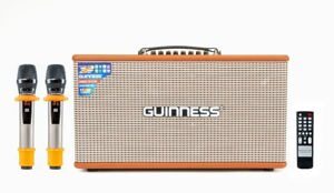 Loa xách tay di động Guinness GX-315