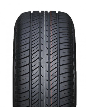 Lốp ô tô Deestone 195/55 R15 R301