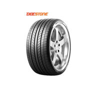 Lốp ô tô Deestone 205/55 R16 R302