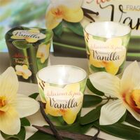 Ly nến thơm Bartek Candles BAT3763 - Vanilla 75g