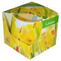 Ly nến thơm tinh dầu Admit Narcissus 100g QT025838 - thủy tiên vàng