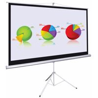 Màn chiếu treo tường Apolo 113 inch