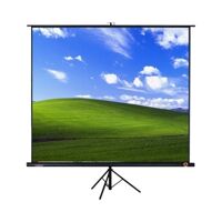 Màn chiếu 3 chân DALIFE 120 inch (84” x 84”)