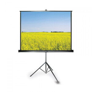 Màn chiếu 3 chân Grandview Fantasy 120 inch