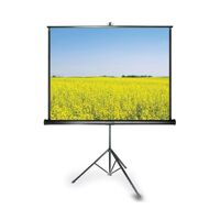 Màn chiếu 3 chân Grandview Fantasy 100 inch