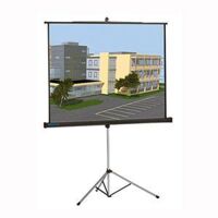 Màn chiếu Chân Dalite P96TS 136 Inch