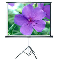 Màn chiếu đứng Grandview PT-H70x70WM - 70 x 70 inch (1.78 x 1.78 m)